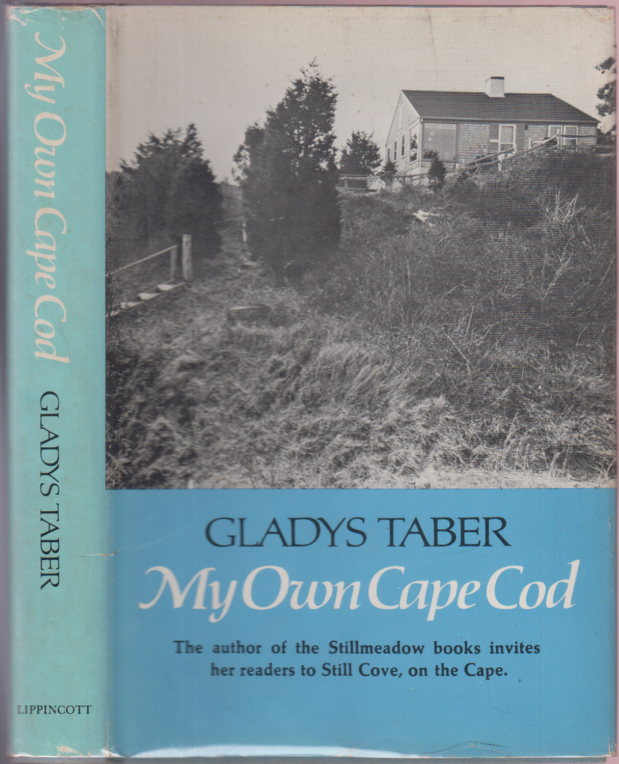 My Own Cape Cod
