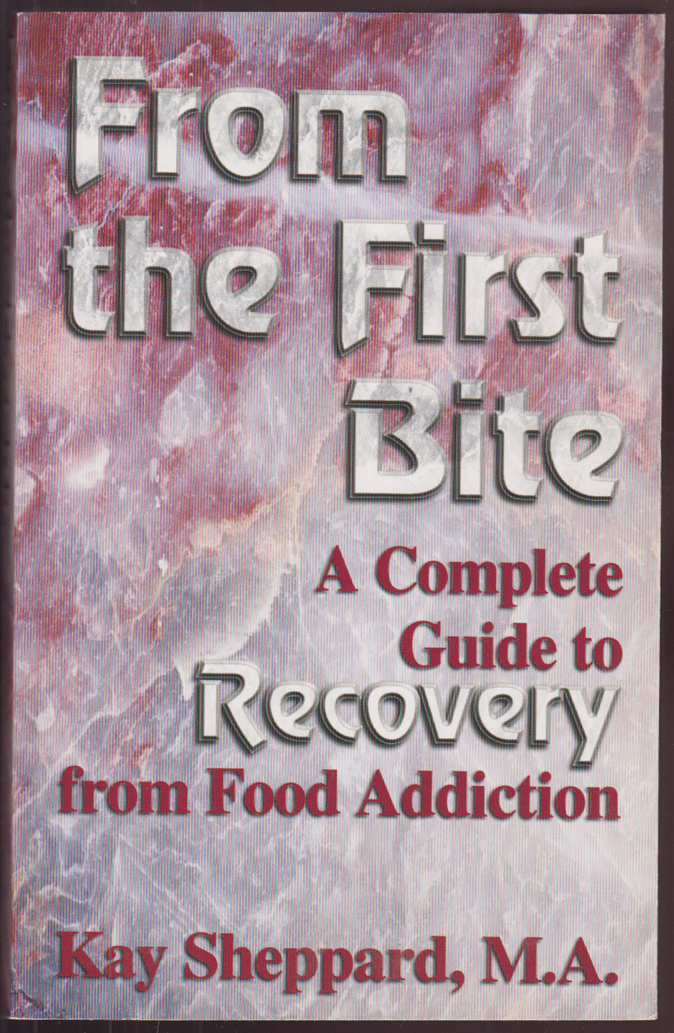 From The First Bite A Complete Guide to Recovery from Food Addiction