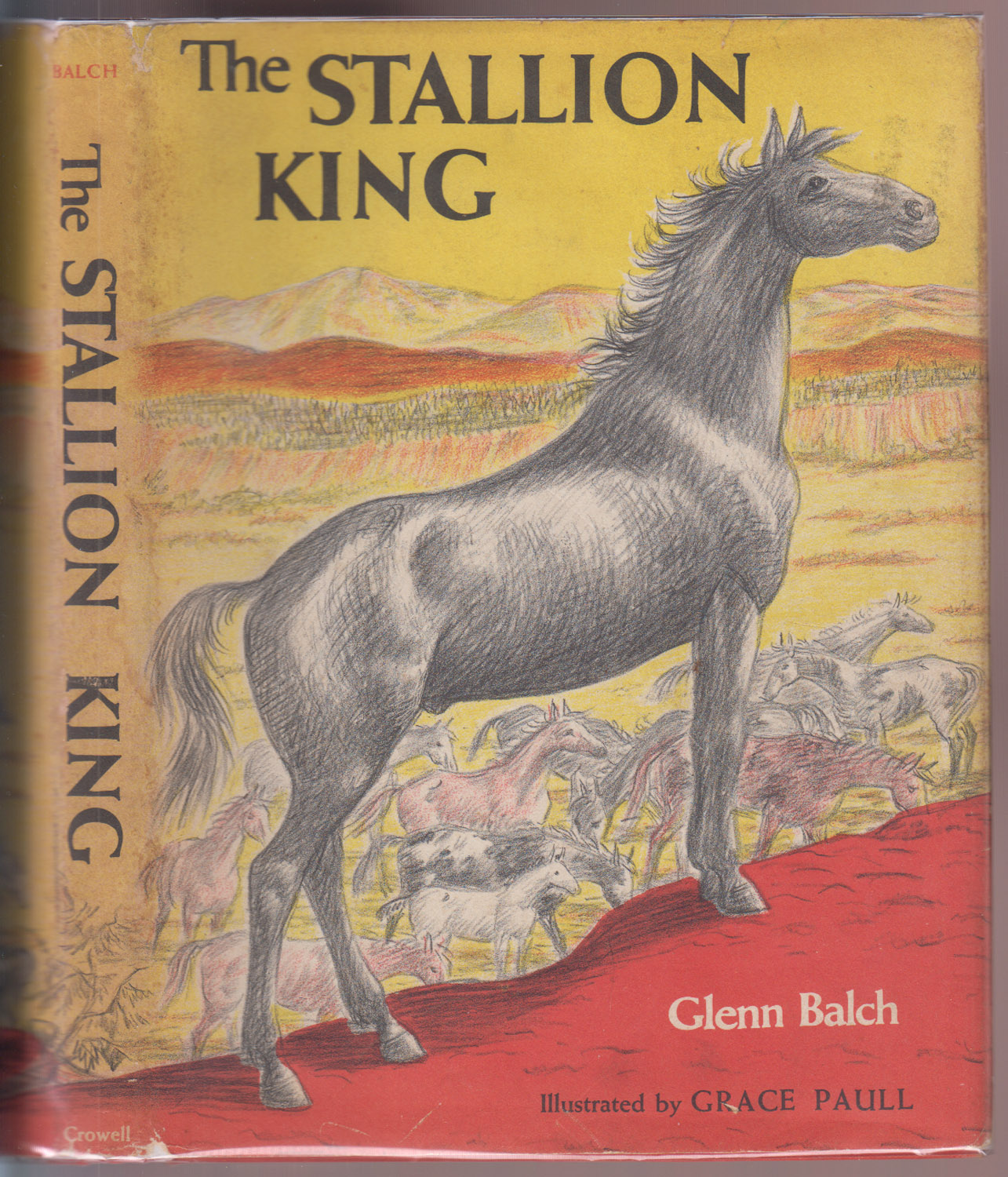 The Stallion King