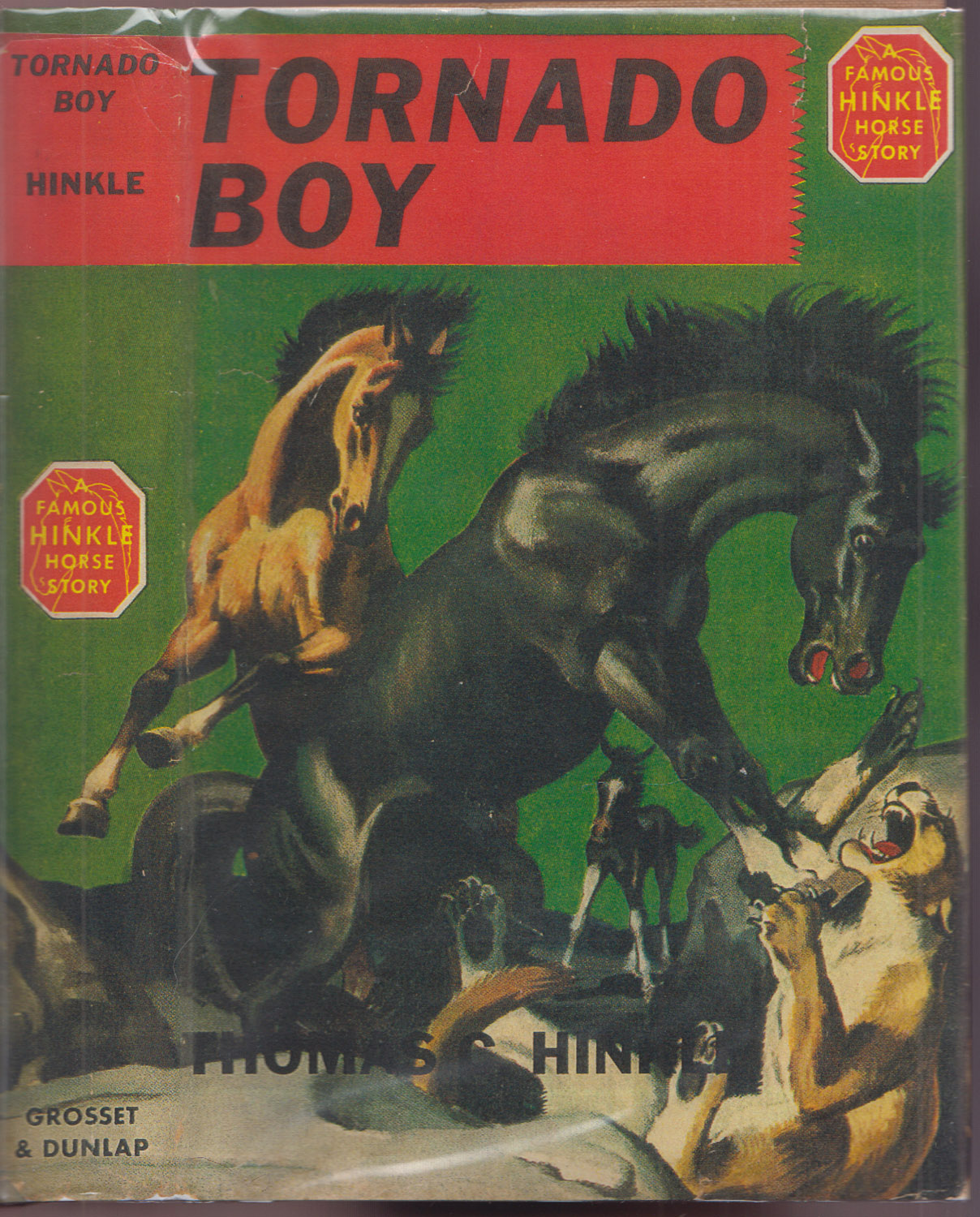 Tornado Boy A Horse of the West