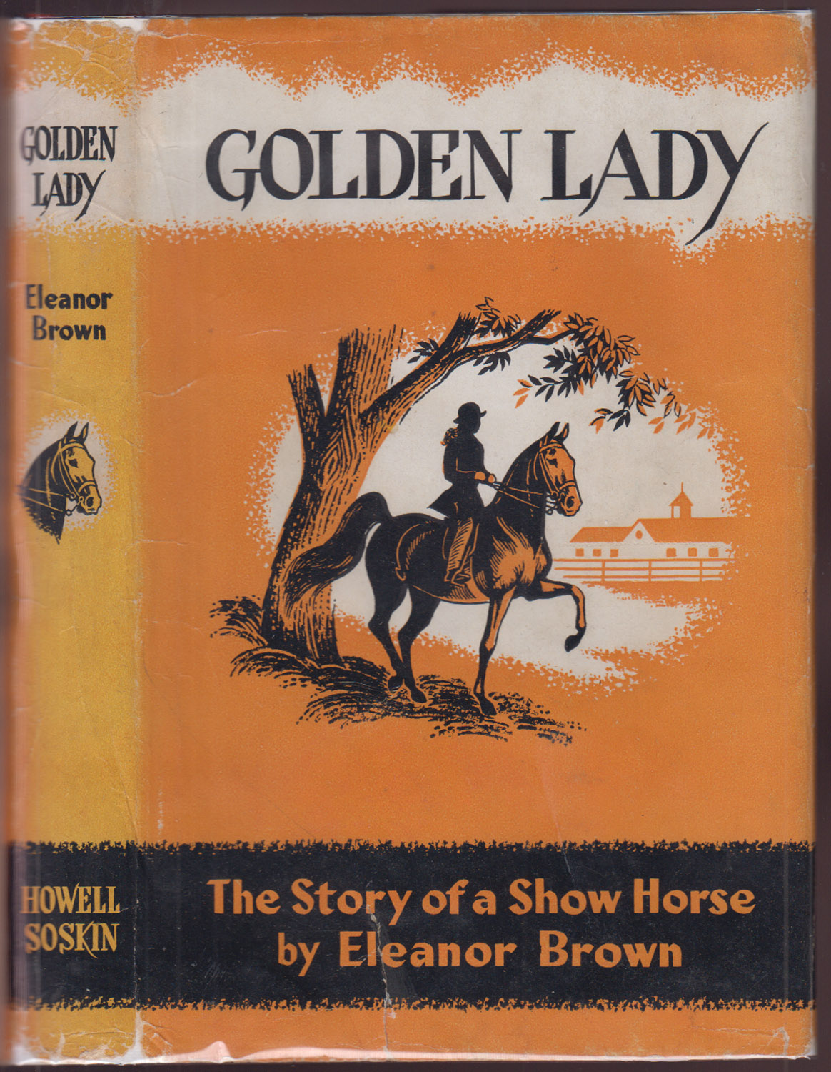 Golden Lady The Story of an American Show Horse