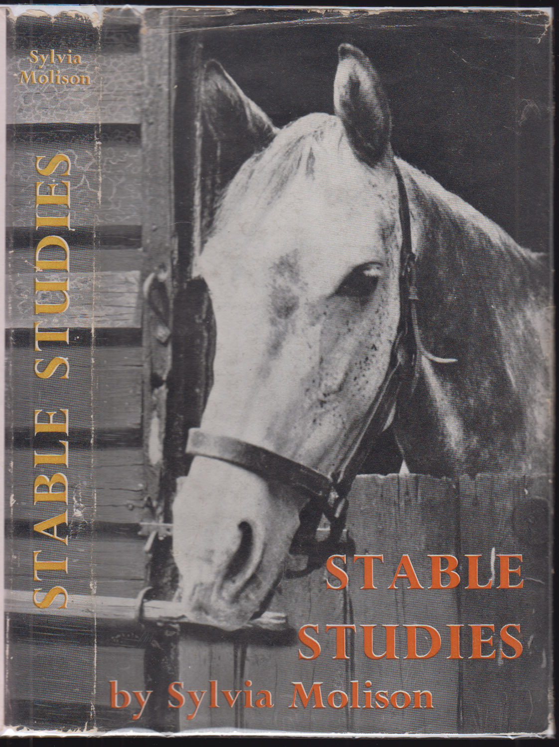 Stable Studies