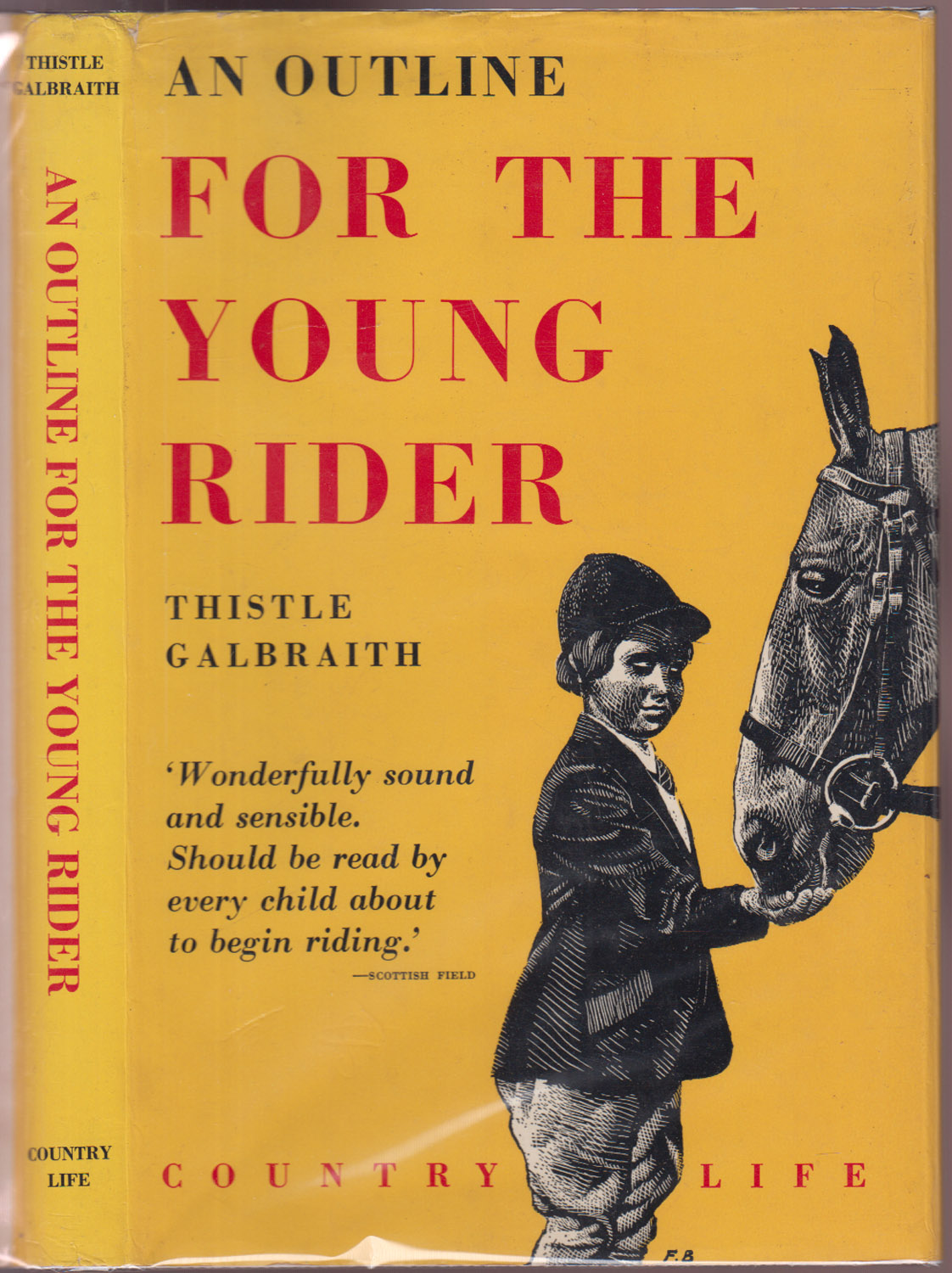 An Outline for the Young Rider