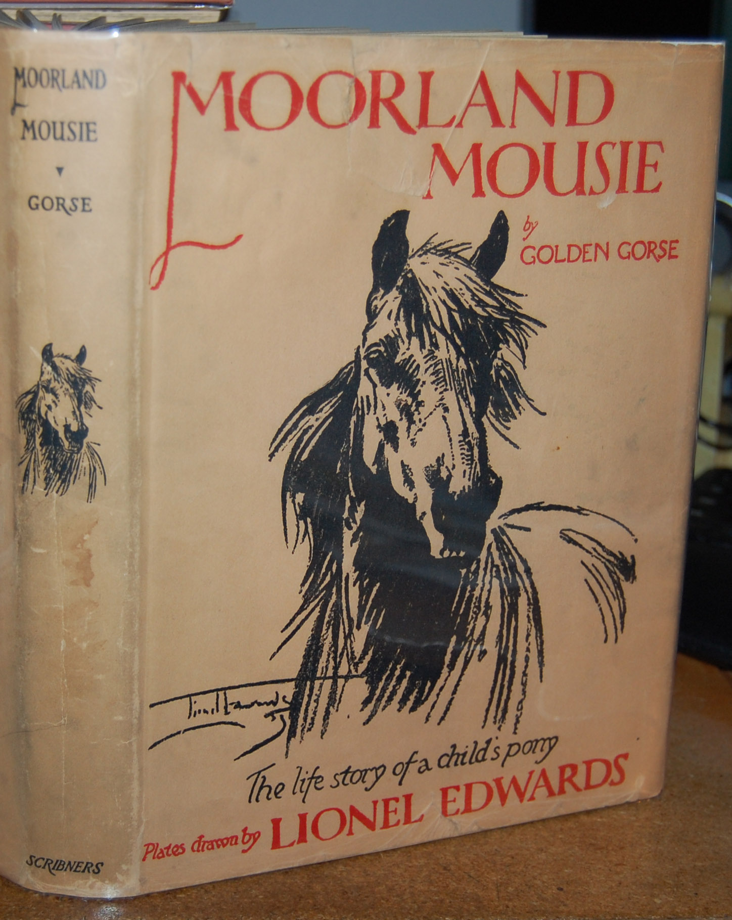 Moorland Mousie The Life Story of a Child's Pony.