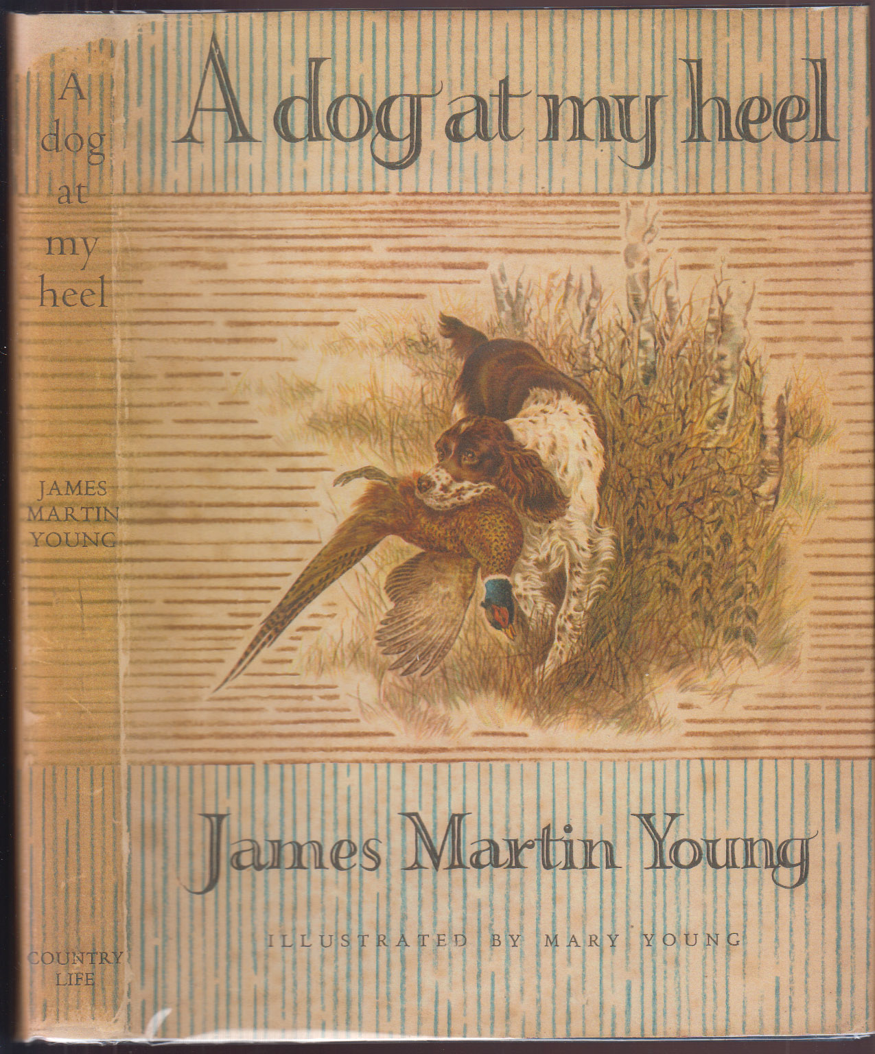 A Dog At My Heel