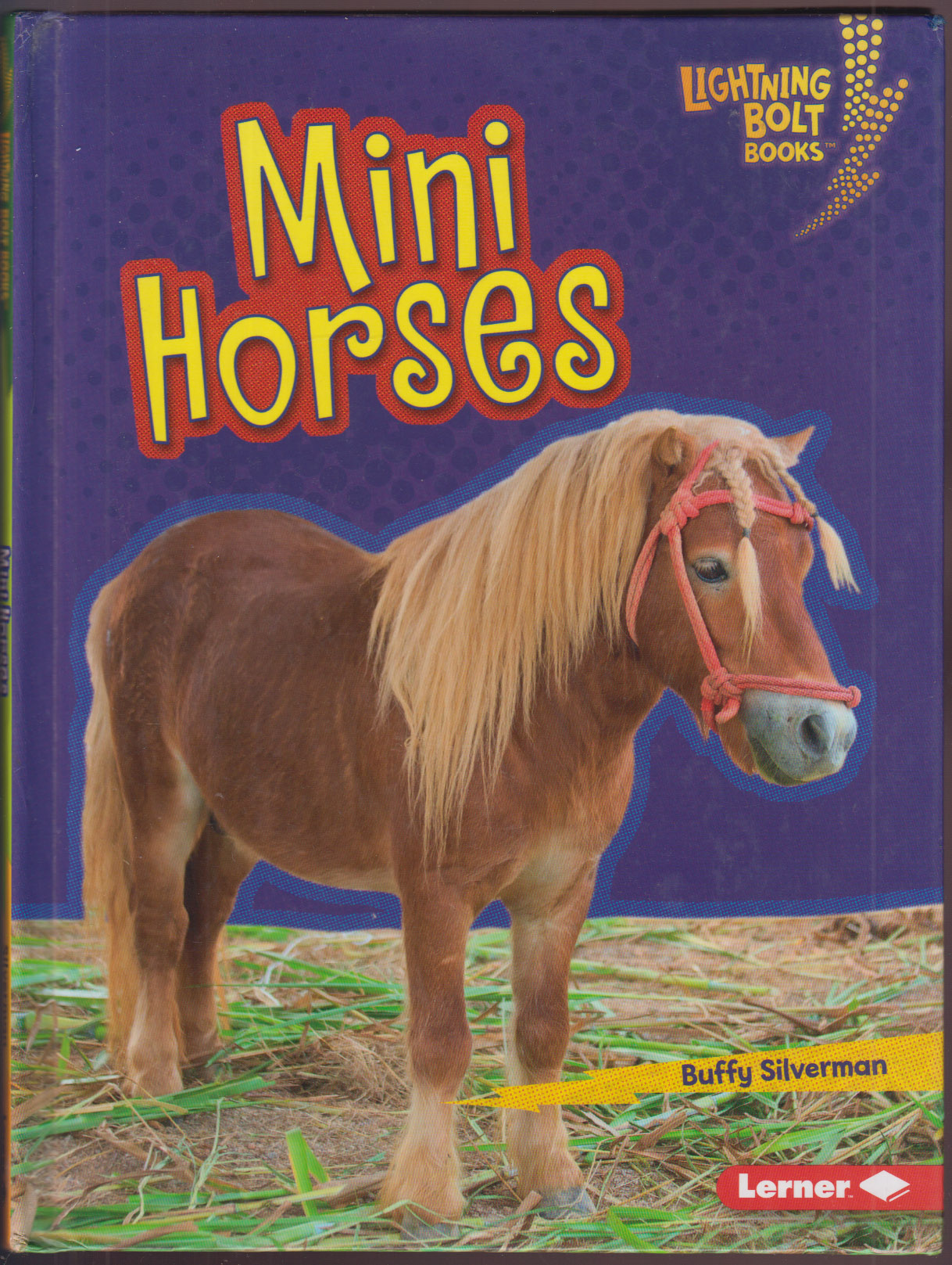 Mini Horses (Lightning Bolt Books Little Pets)