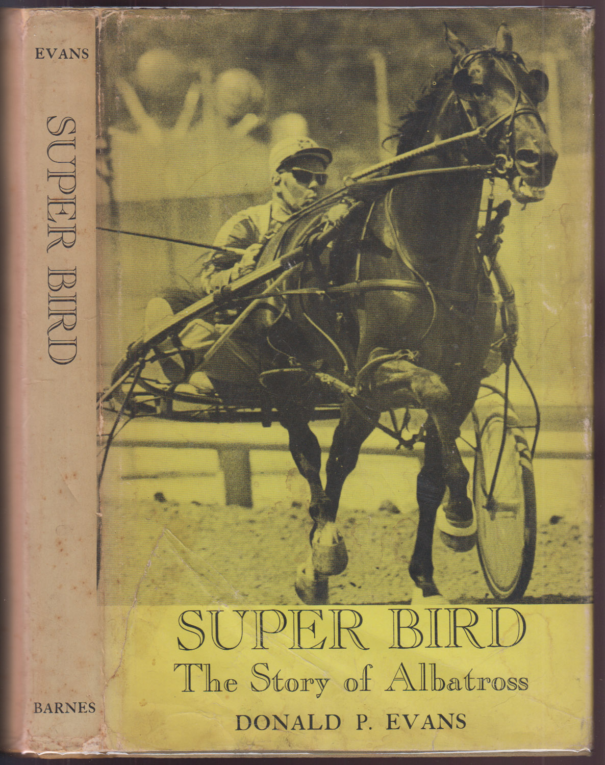 Super Bird: The Story of Albatross
