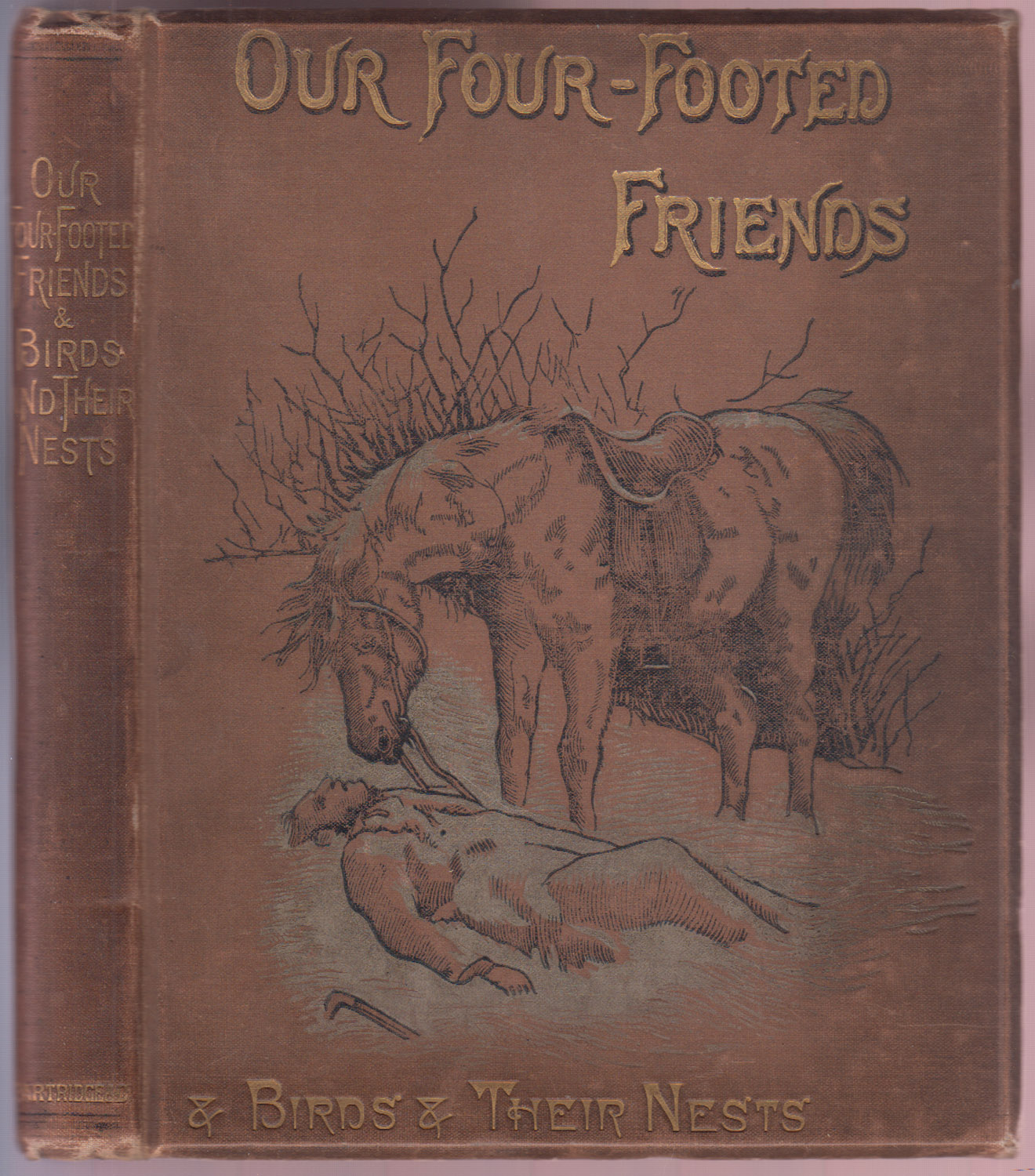 Our Four-Footed Friends and Birds and Their Nests