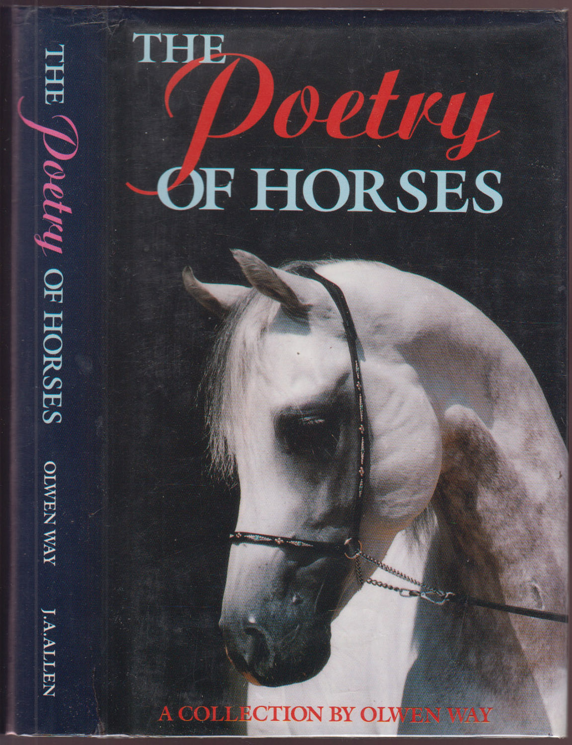 The Poetry of Horses