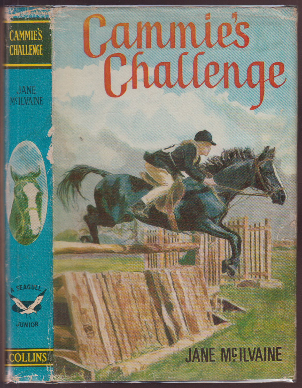 Cammie's Challenge