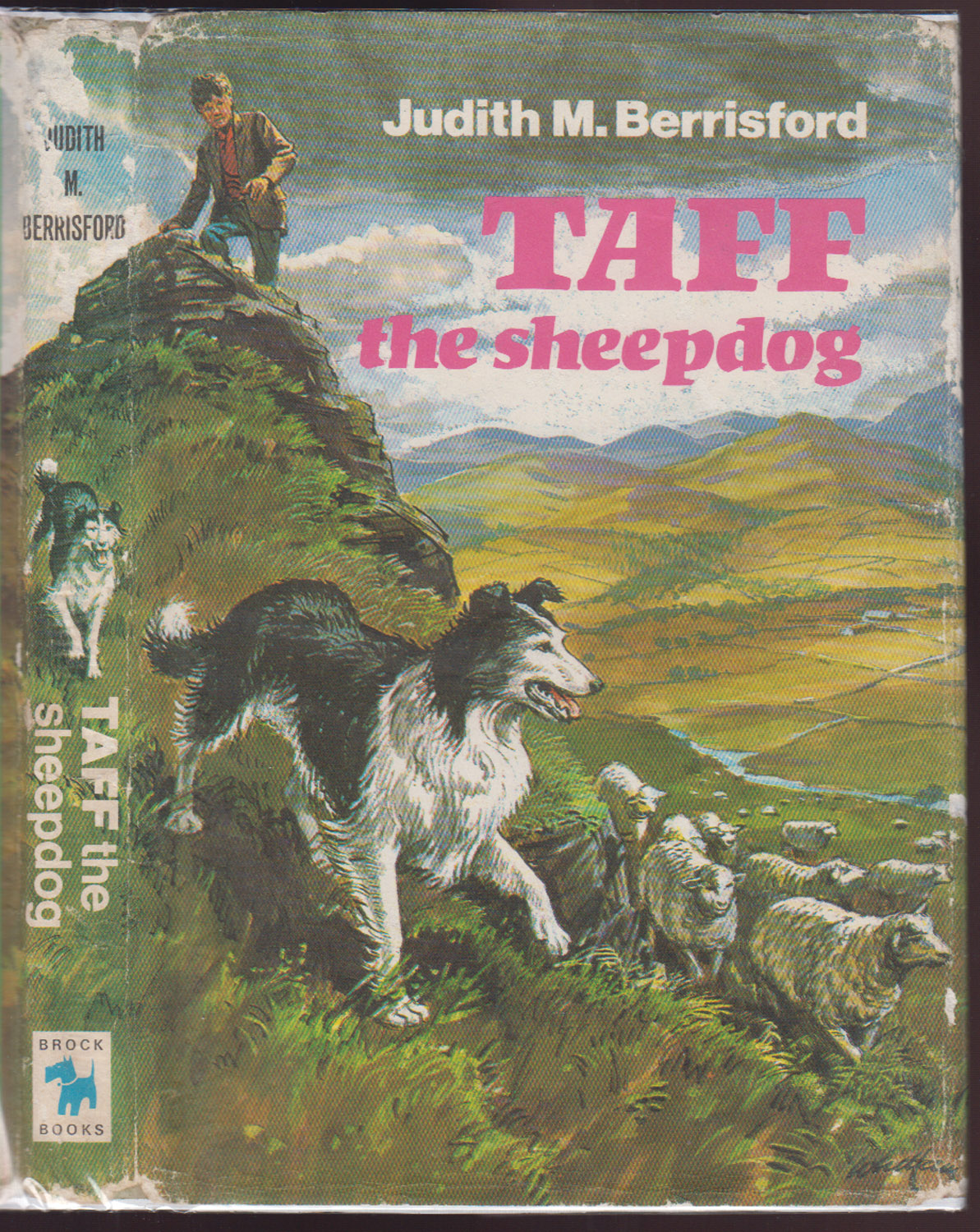 Taff the Sheepdog