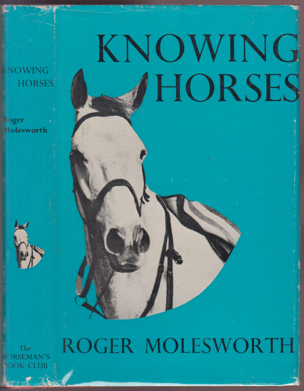 Knowing Horses