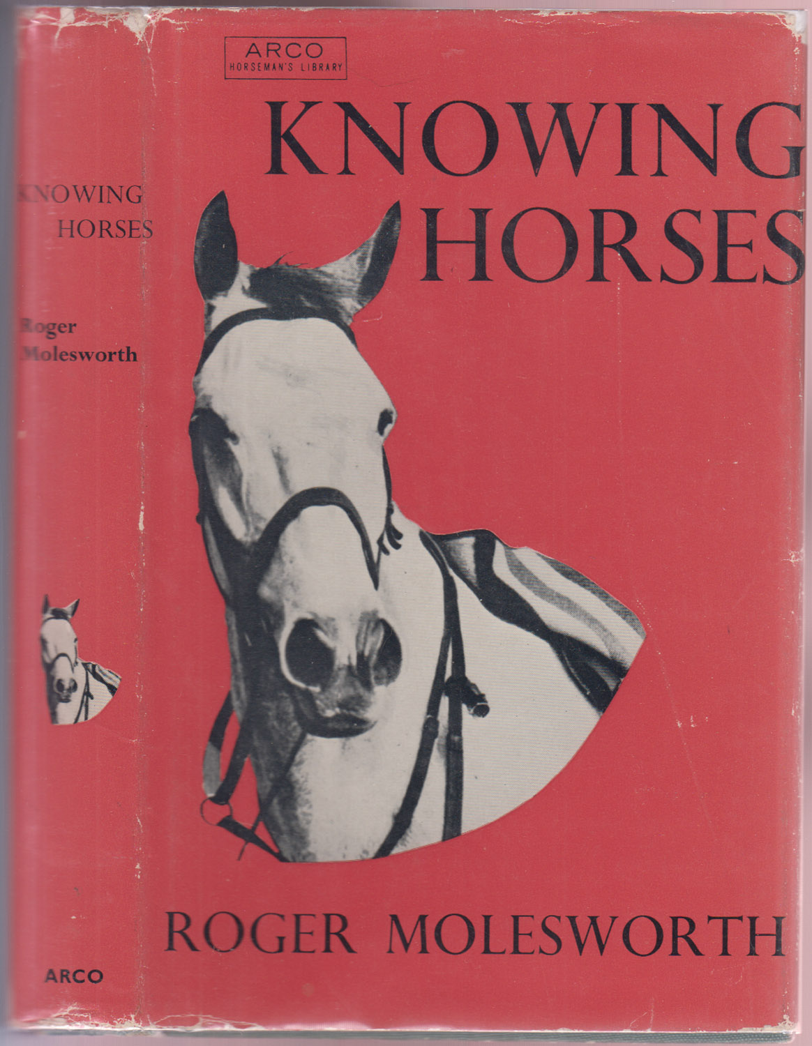 Knowing Horses