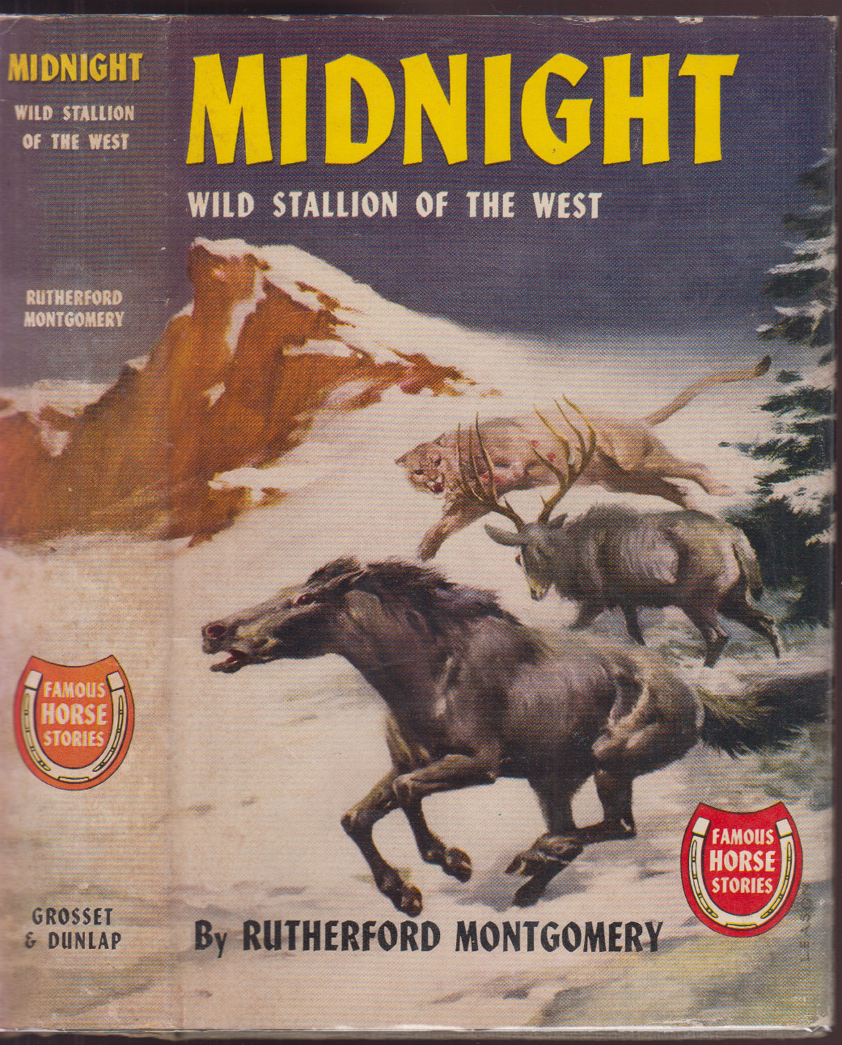 Midnight Wild Stallion of the West