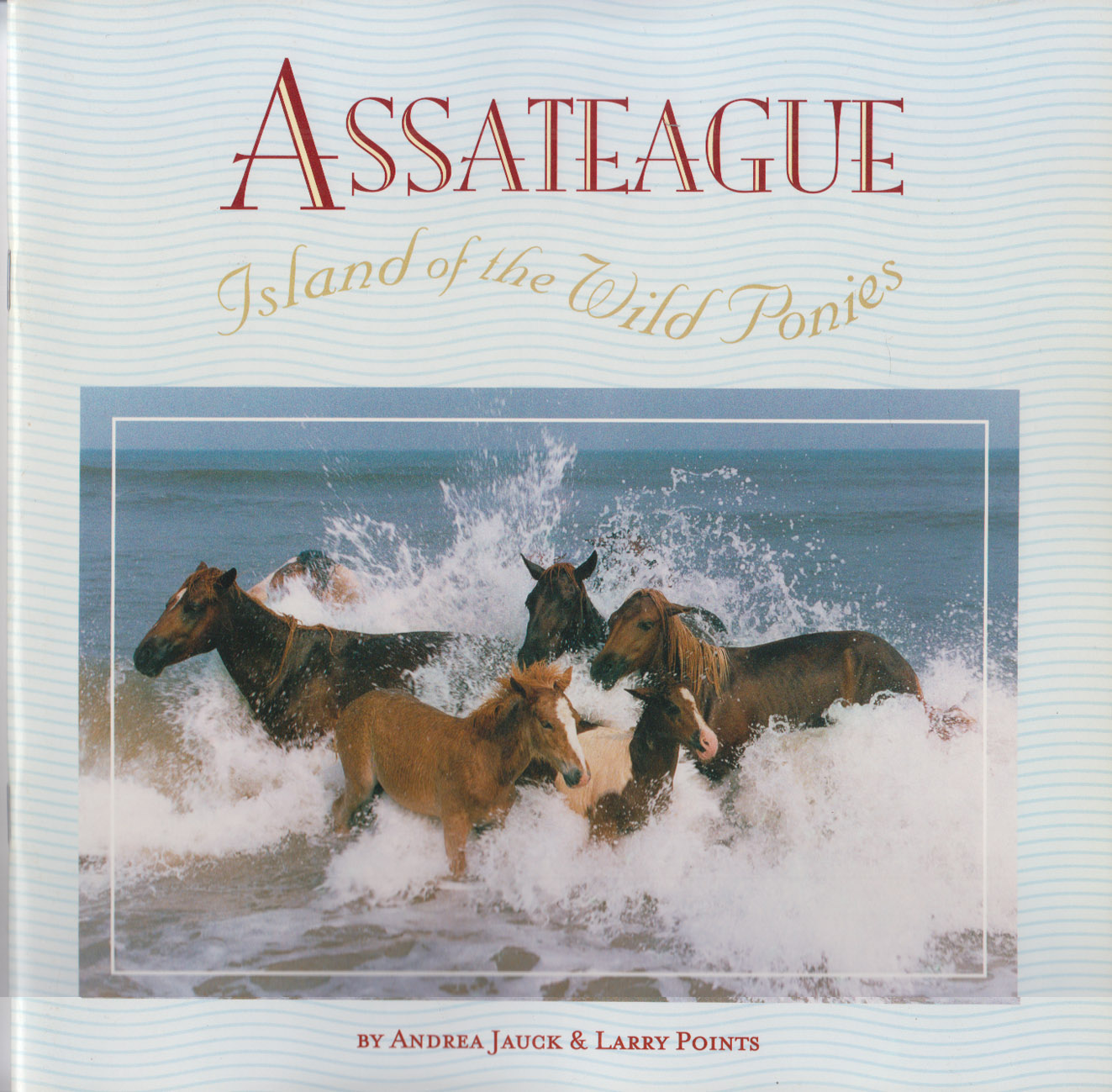 Assateague: Island of Wild Ponies