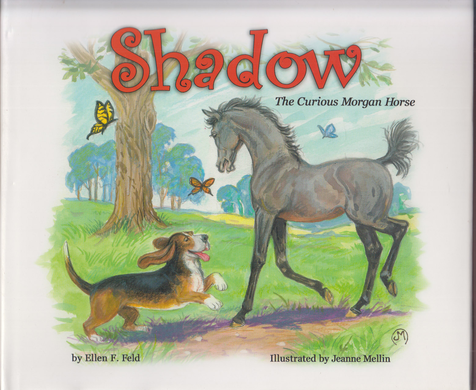 Shadow: The Curious Morgan Horse (Morgan Horse Series)