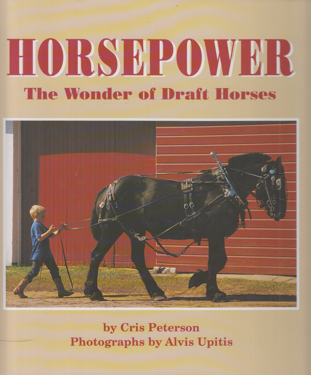 Horsepower The Wonder of Draft Horses