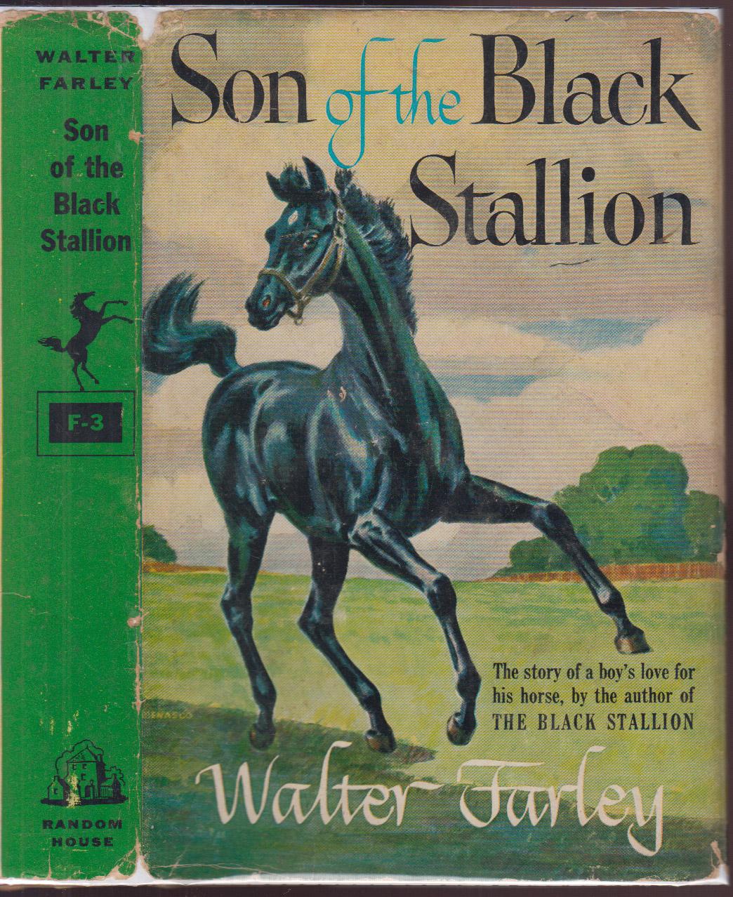 Son of the Black Stallion