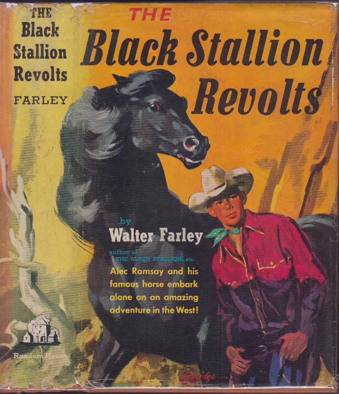The Black Stallion Revolts