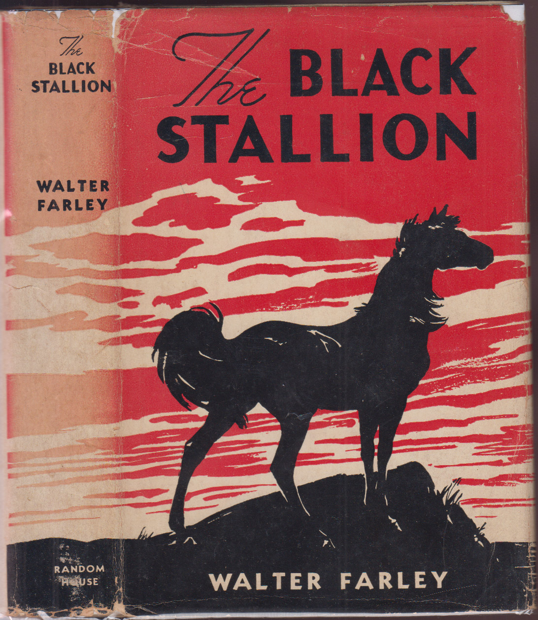 The Black Stallion