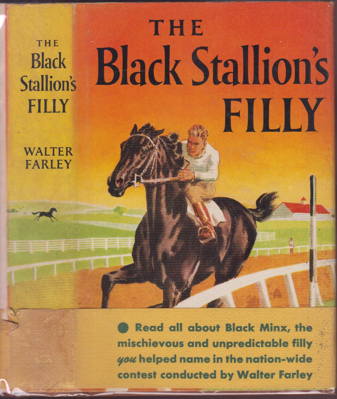 The Black Stallion's Filly w/Publisher's Advert Band over Orig DJ