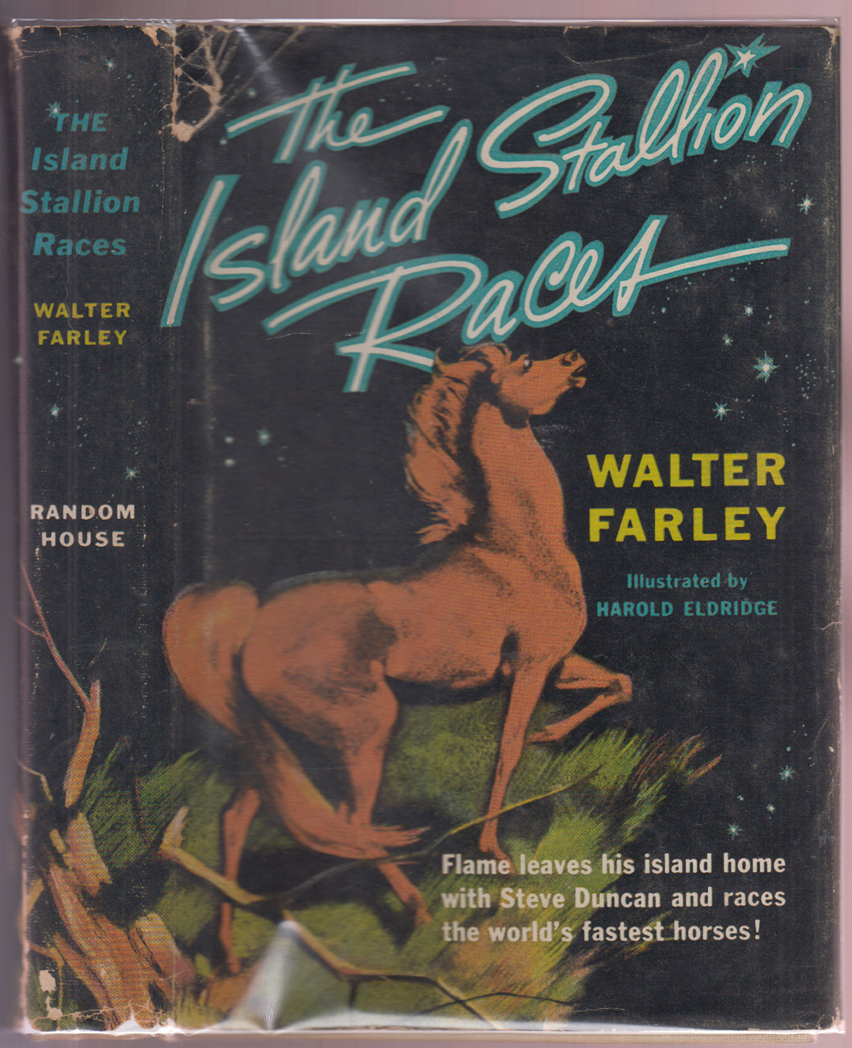 The Island Stallion Races