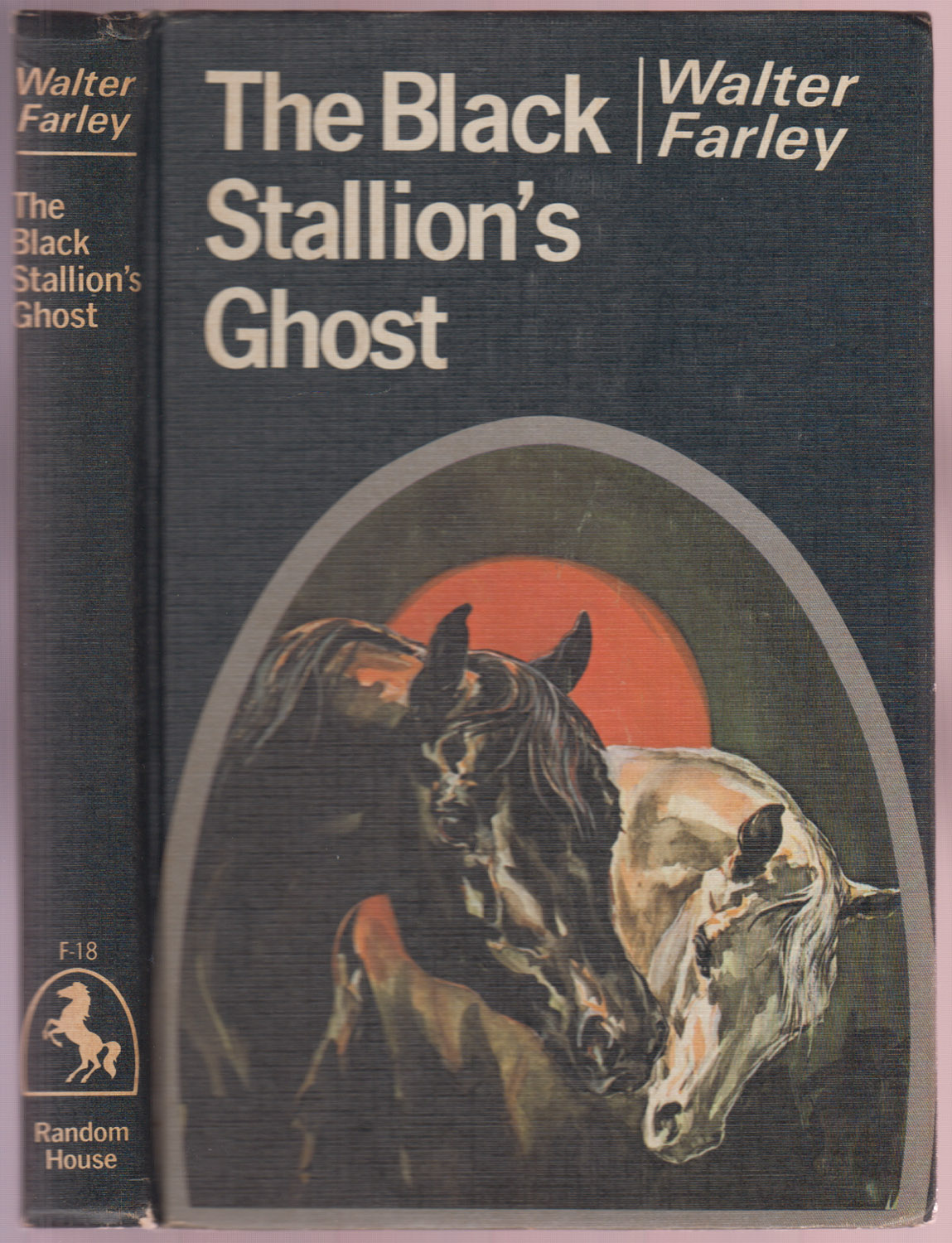 The Black Stallion's Ghost