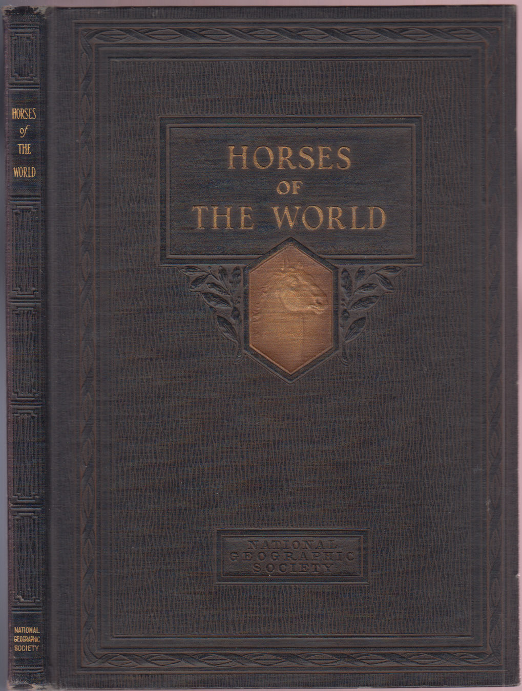 The Horses of the World The Development of Man's Companion in War Camp, on Farm, in the Marts of Trade, and in the Field of Sports