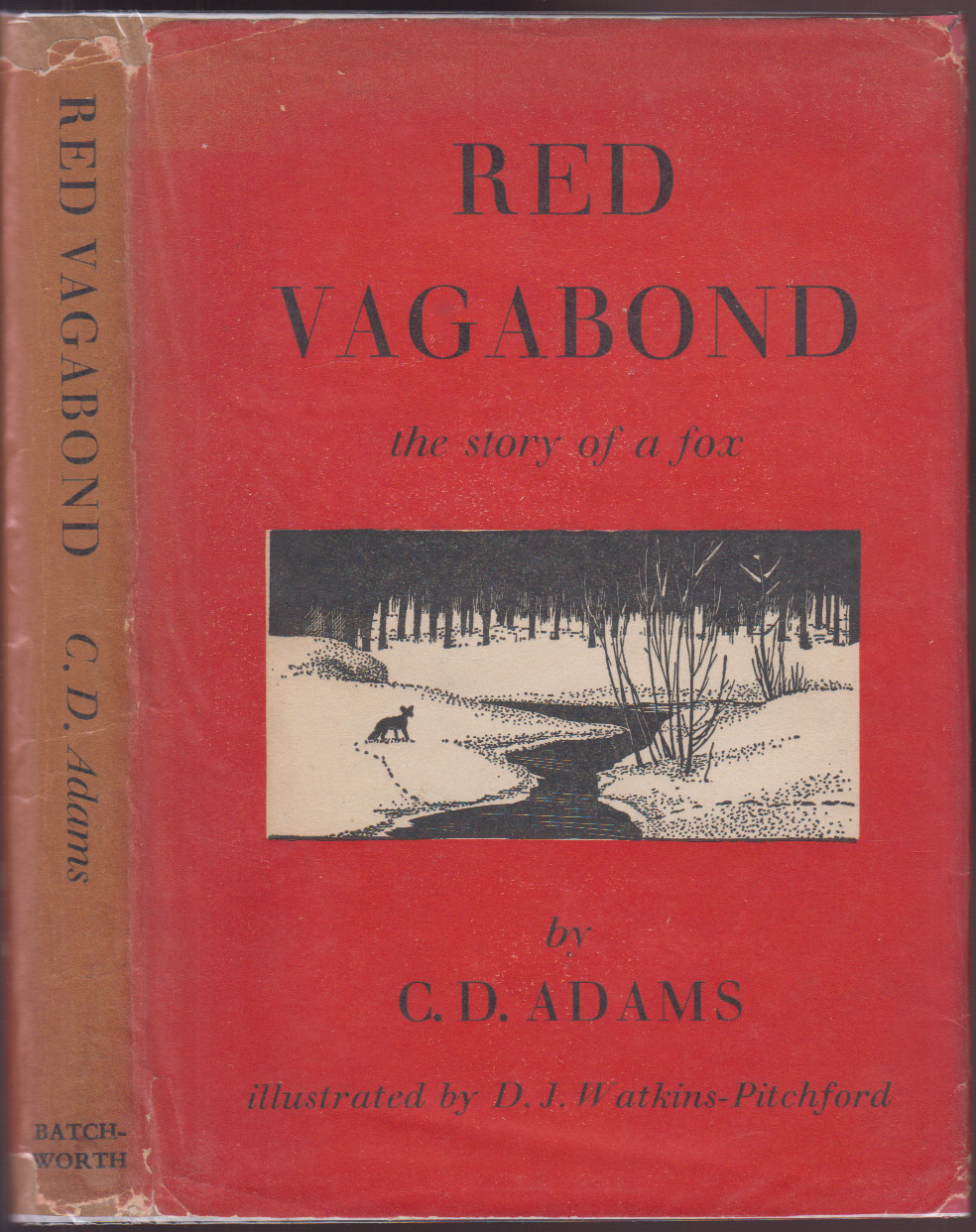 Red Vagabond the Story of a Fox