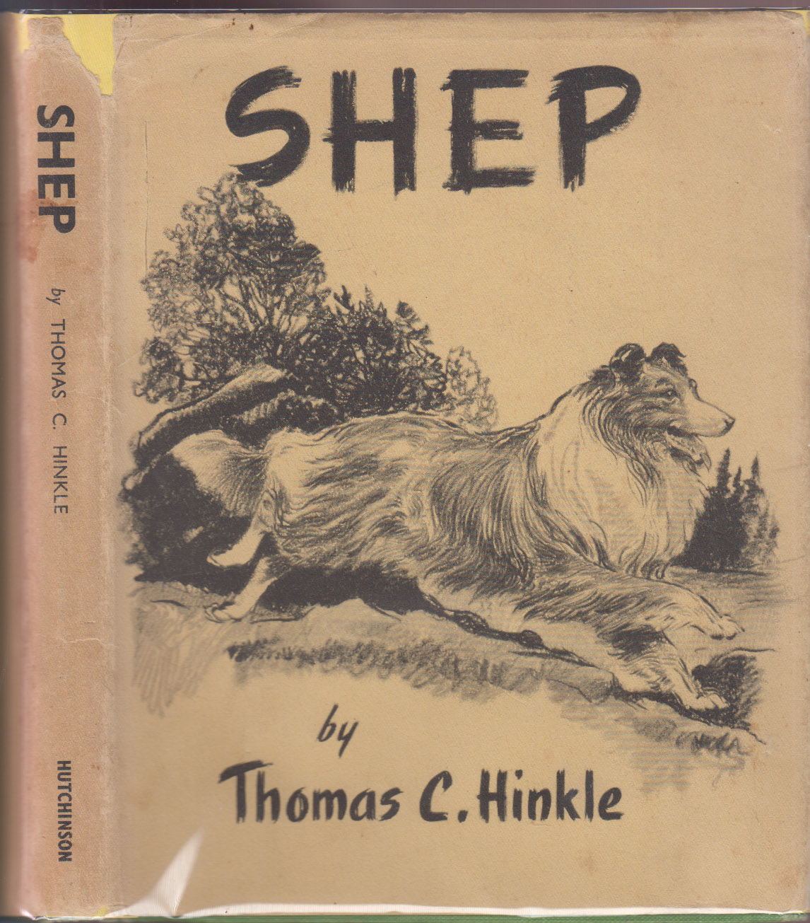 Shep A Collie of the Old West
