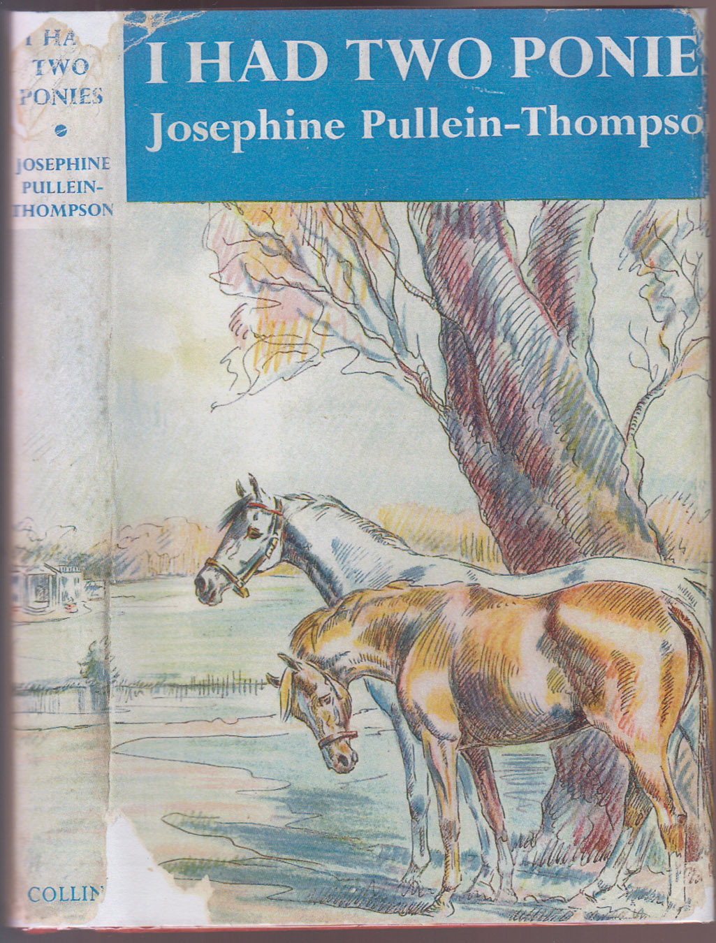 I Had Two Ponies