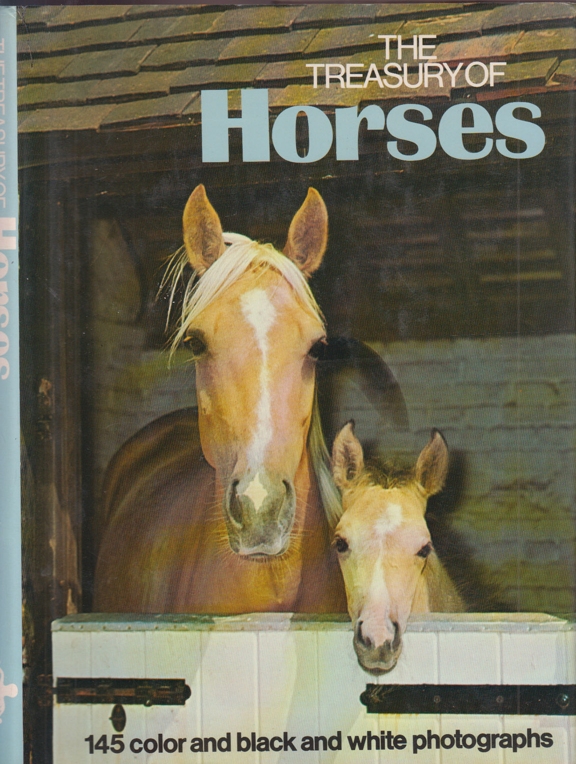 The Treasury of Horses