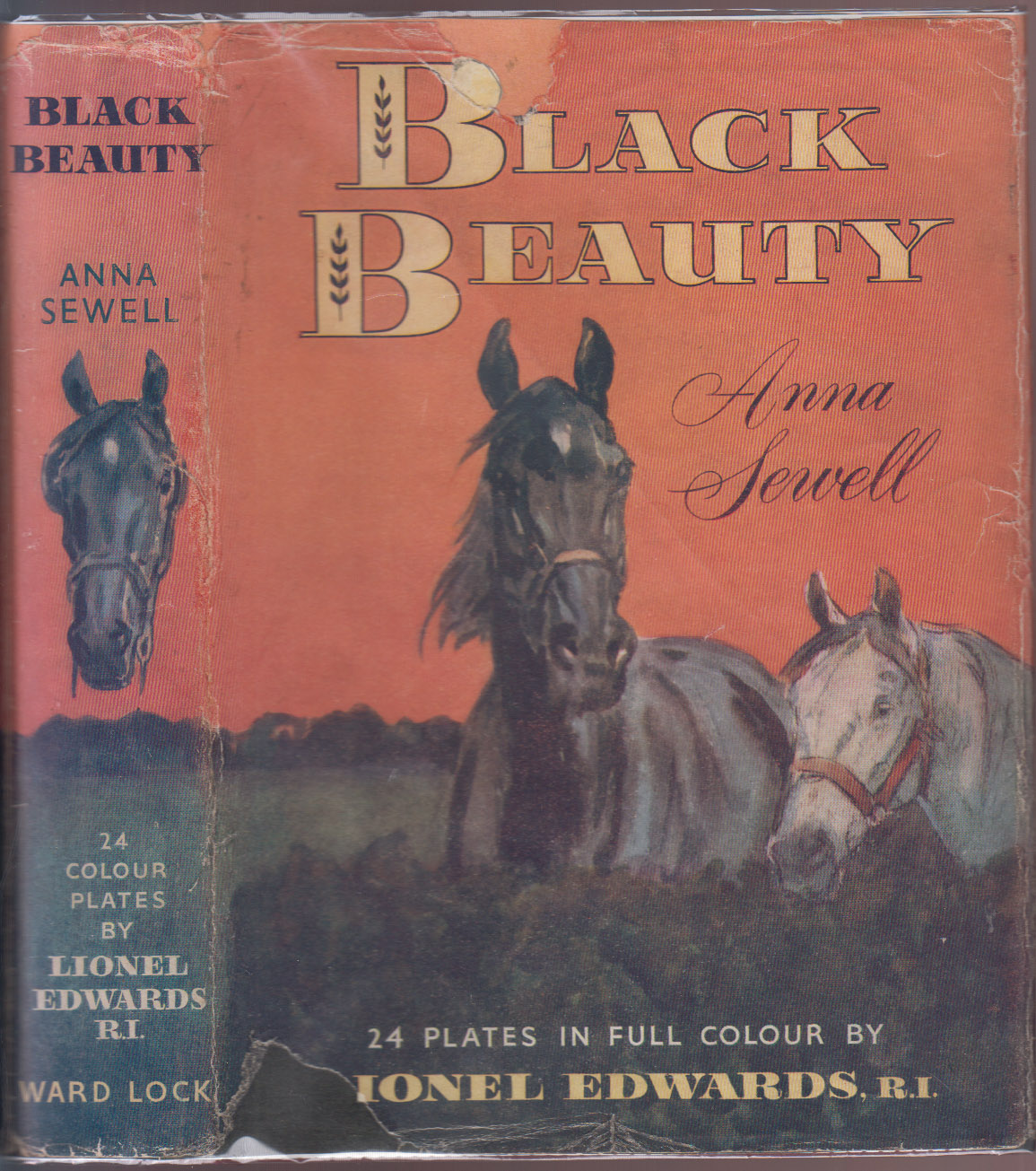 Black Beauty