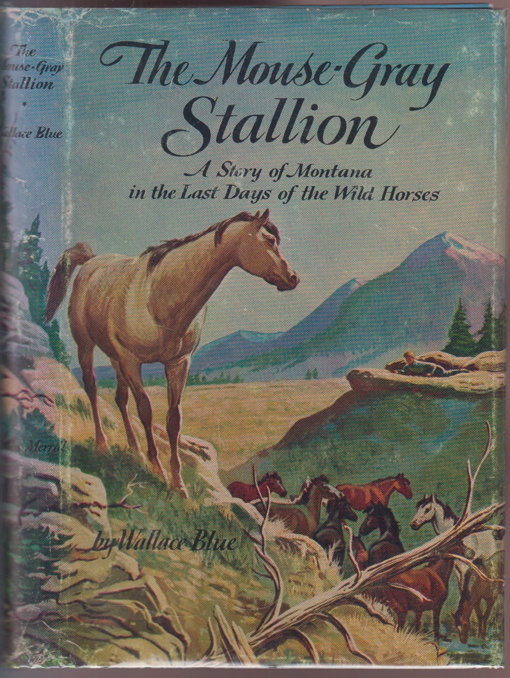 The Mouse-Gray Stallion A Story of Montana in the Last Days of the Wild Horses