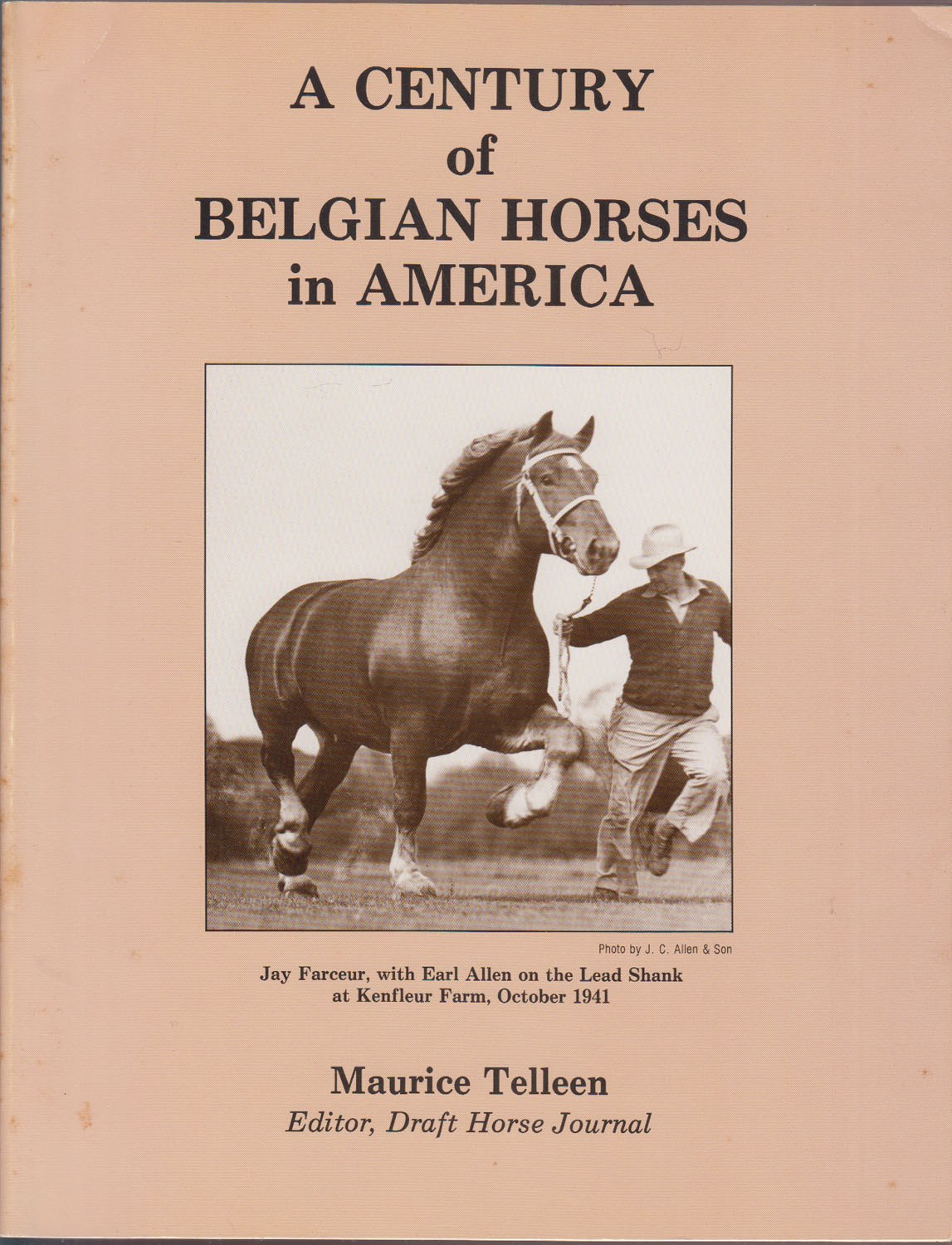 A Century of Belgian Horses in America