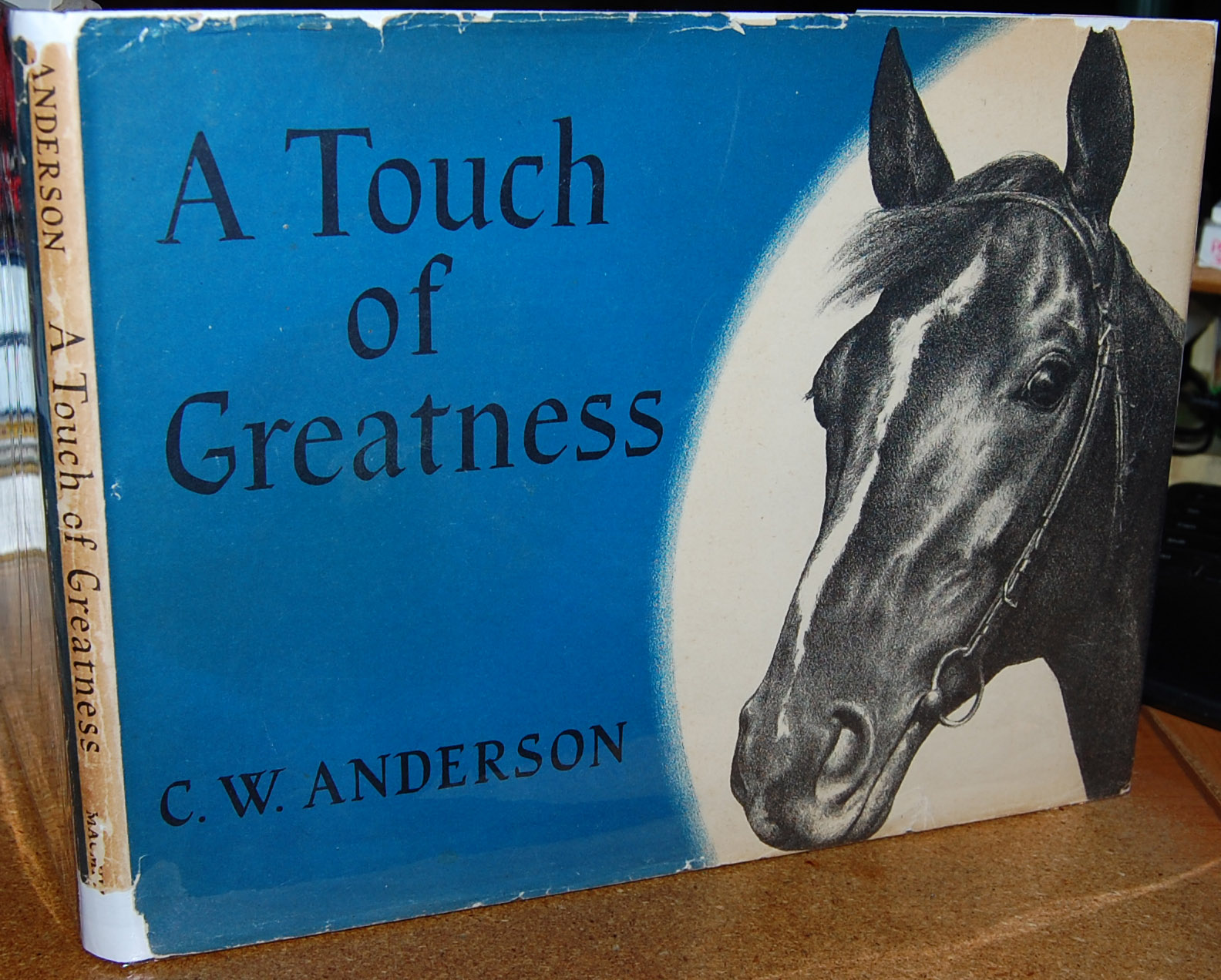 Image for A Touch of Greatness A Touch of Greatness