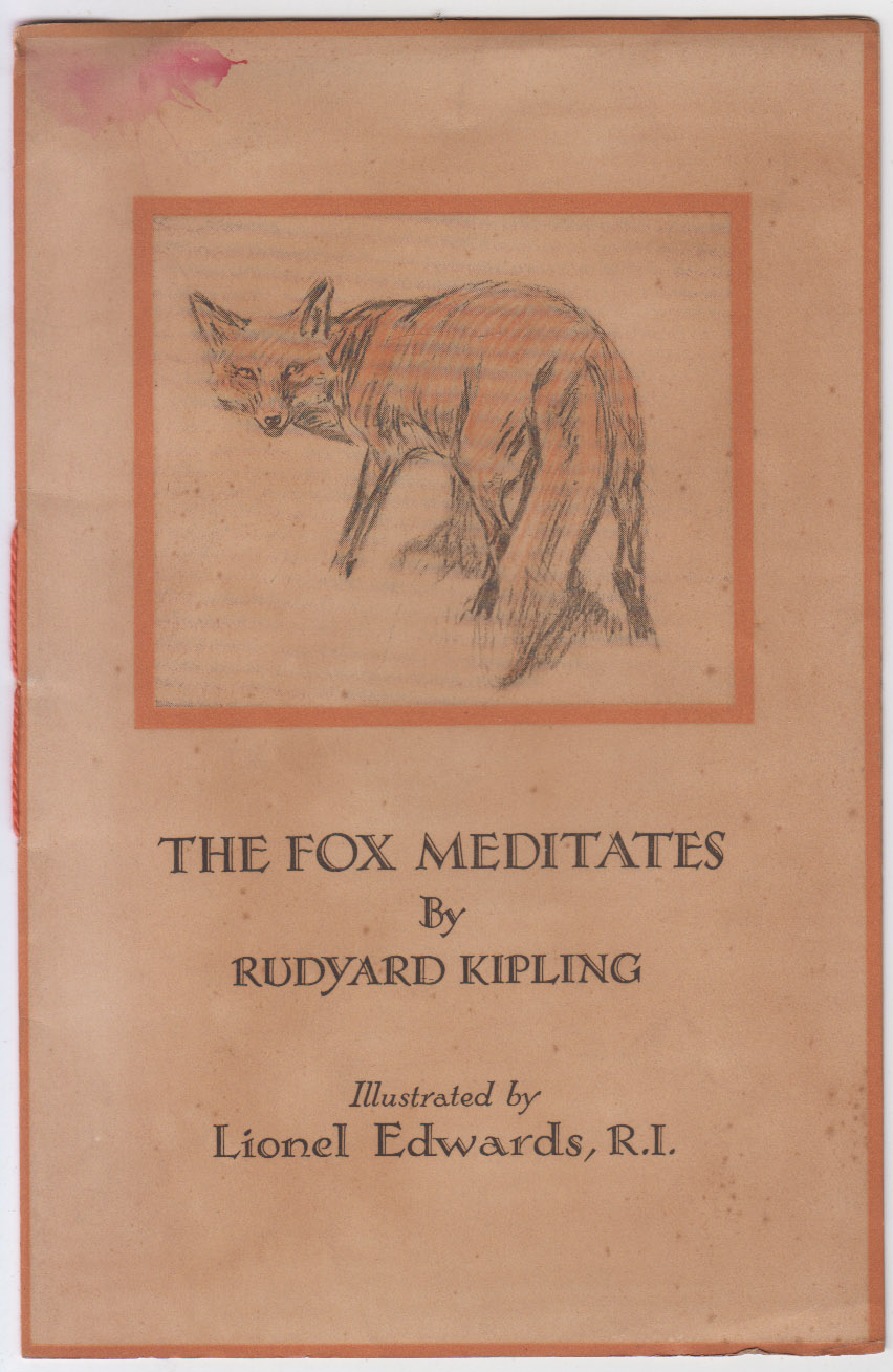 The Fox Meditates