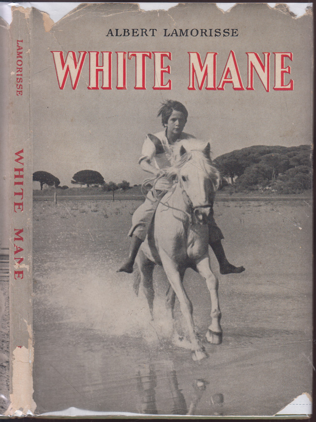 White Mane
