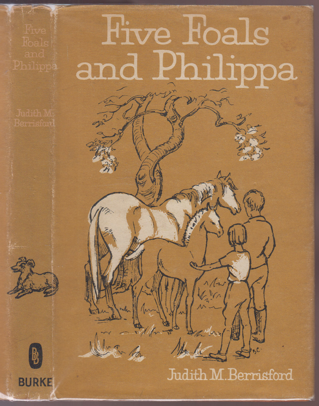 Five Foals And Philippa