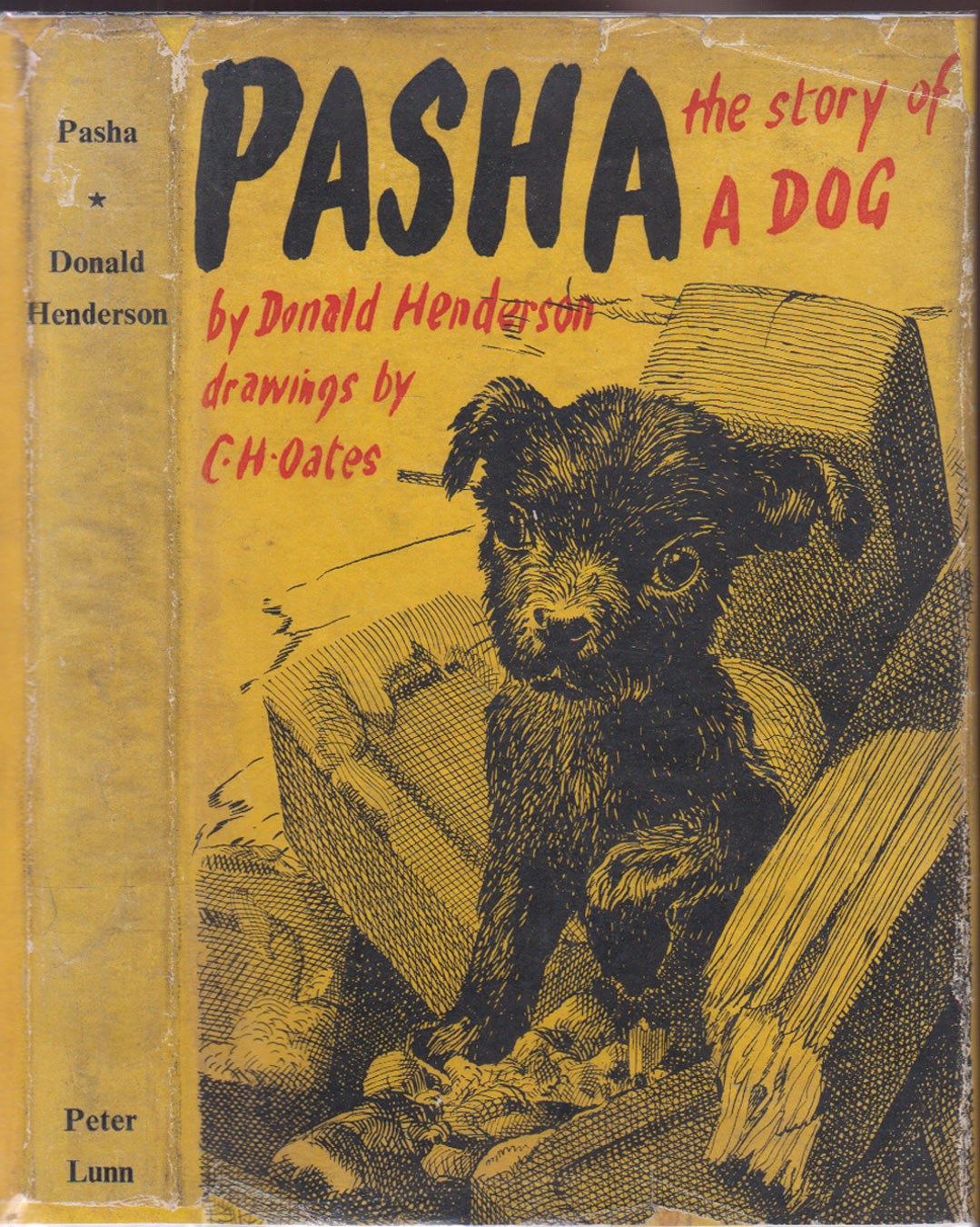 Pasha The Story Of A Dog