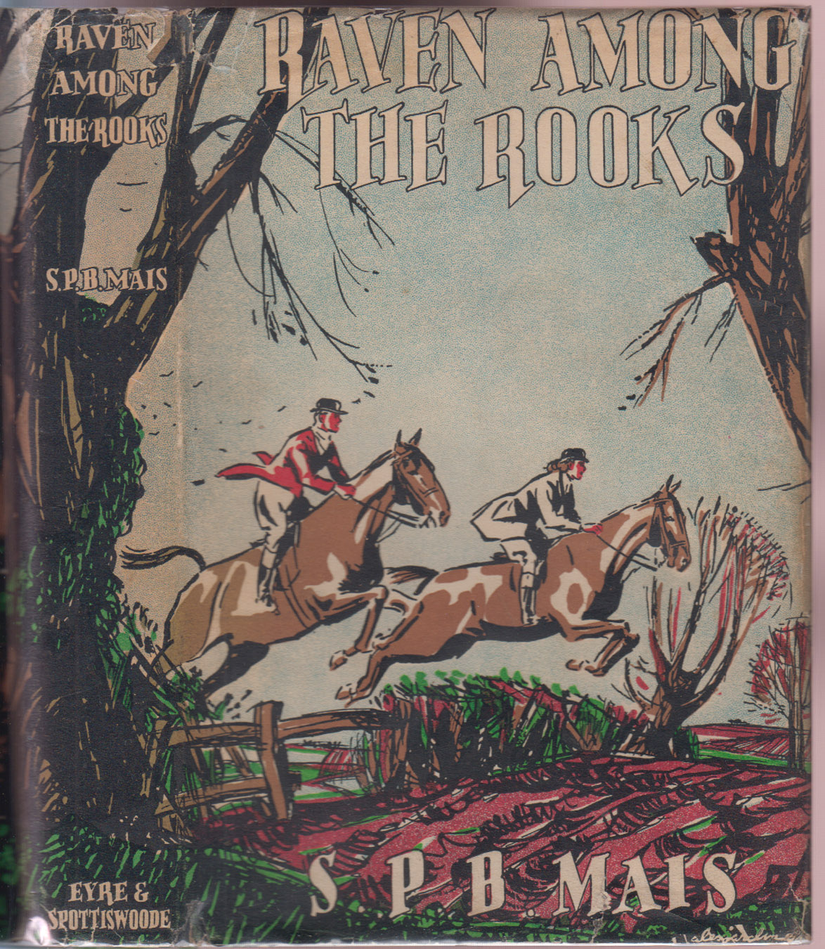 Raven Among The Rooks