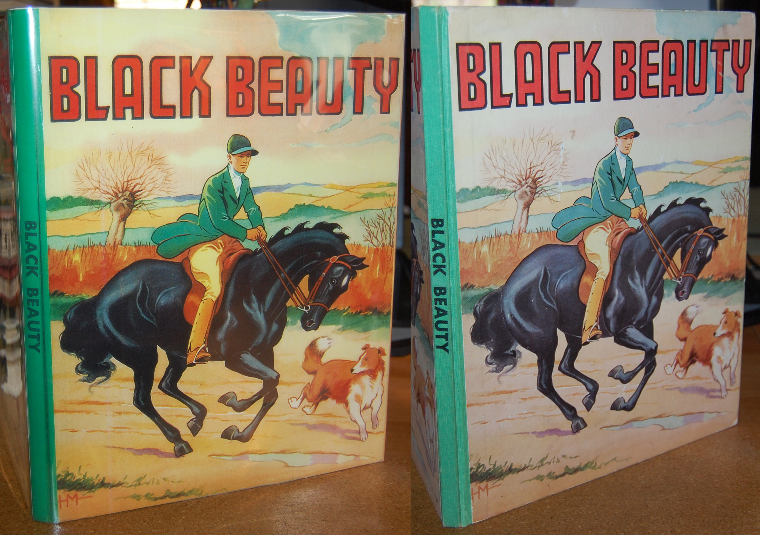 Black Beauty Adapted From the Story by Anna Sewell