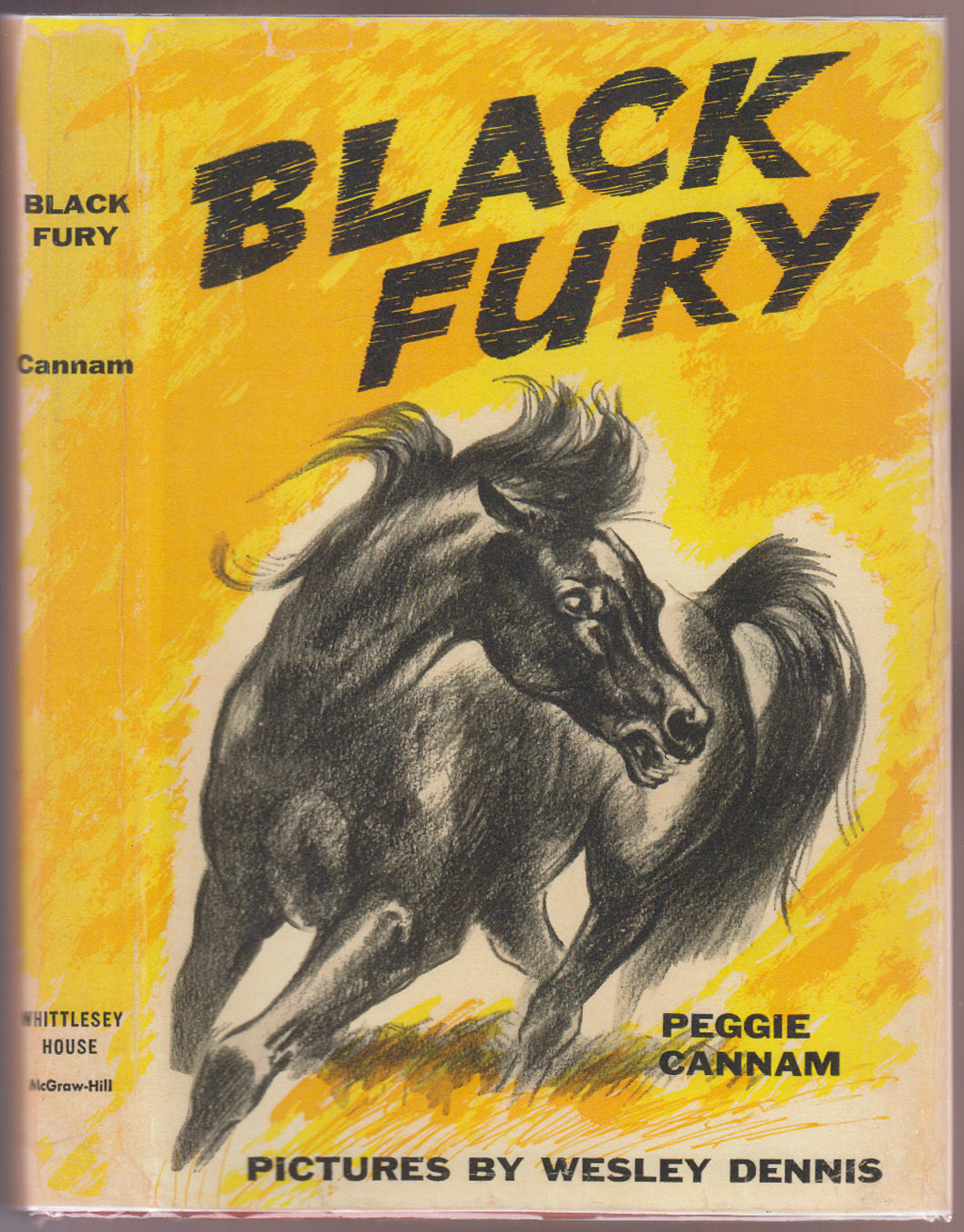 Image for Black Fury Black Fury