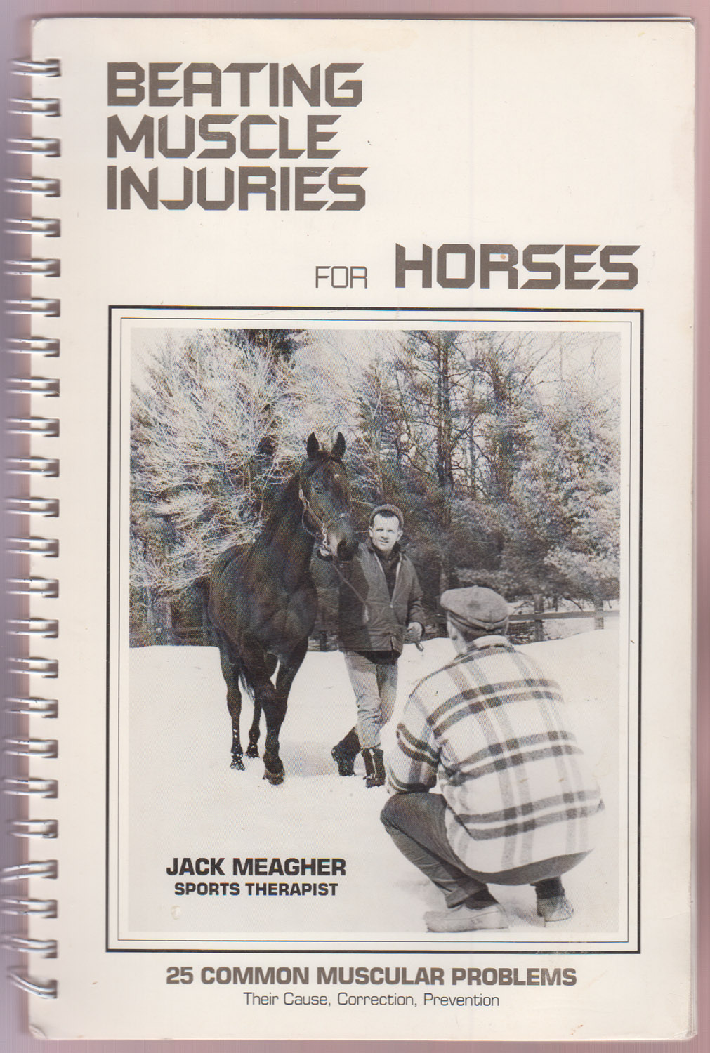 Image for Beating Muscle Injuries For Horses 25 Common Muscular Problems Their Cause, Correction, Prevention Beating Muscle Injuries For Horses 25 Common Muscular Problems Their Cause, Correction, Prevention