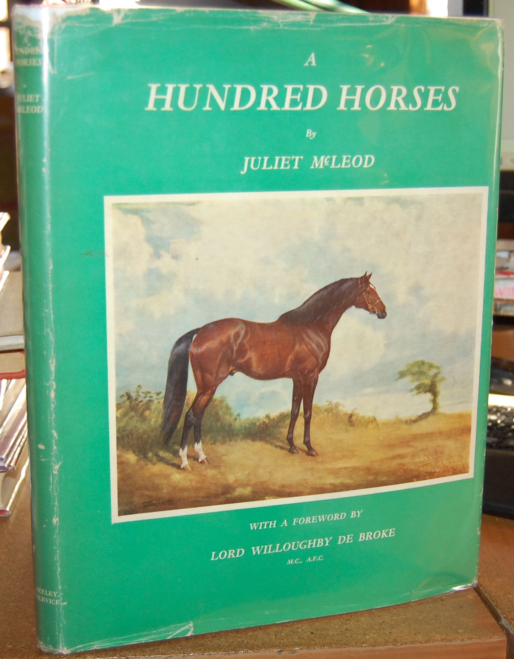 A Hundred Horses