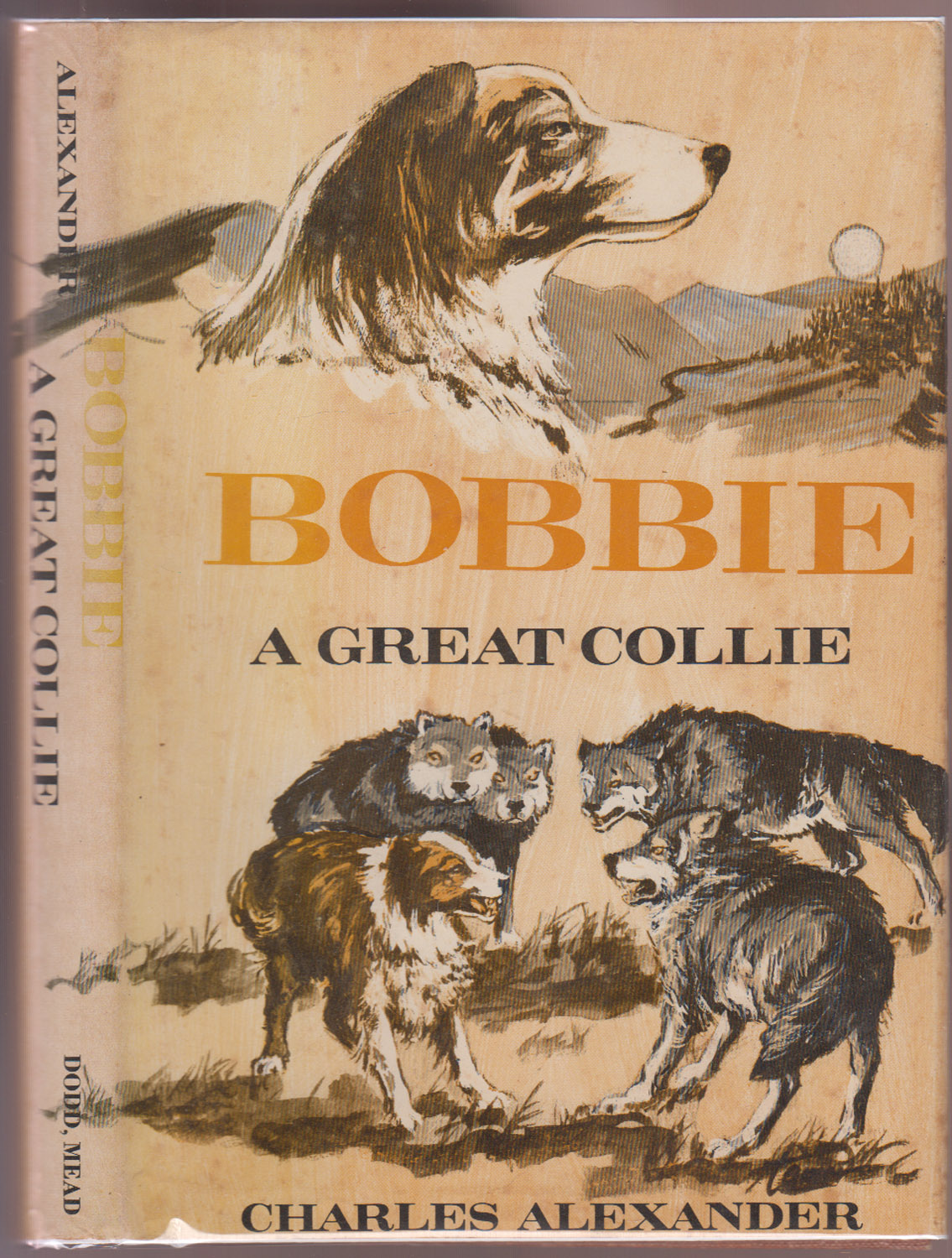 Bobbie A Great Collie