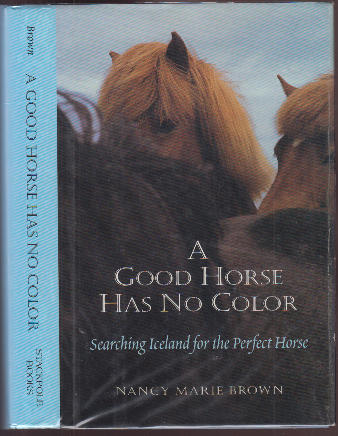 A Good Horse Has No Color Searching Iceland for the Perfect Horse