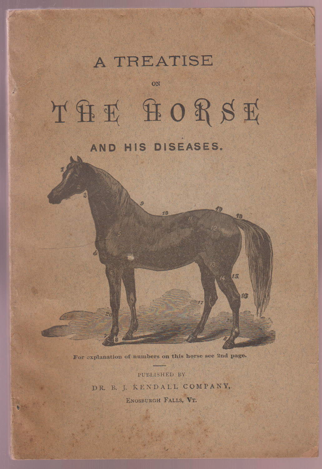A Treatise on the Horse and His Diseases. Containing an Index of Diseases, which gives the Symptoms, Cause, & the Best Treatment of Each; A Table Giving all the Principal Drugs used for the Horse, with the Ordinary Dose, Effects, & Antidote when a Poison; A Table with an Engraving of the Horse's Tee