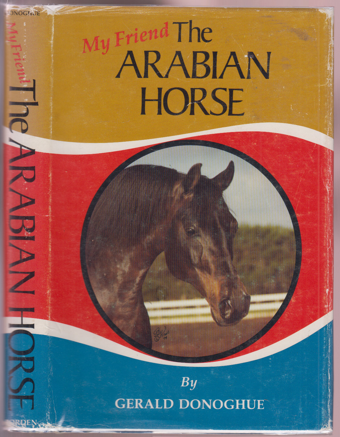 My Friend The Arabian Horse