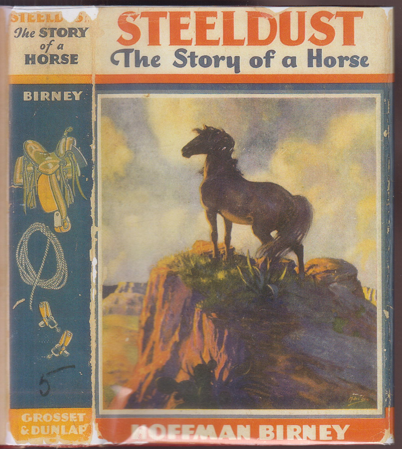 Steeldust The Story of a Horse